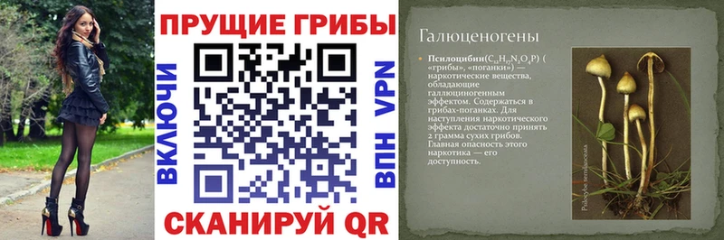 наркотики Алексеевка Псилоцибиновые грибы мухоморы