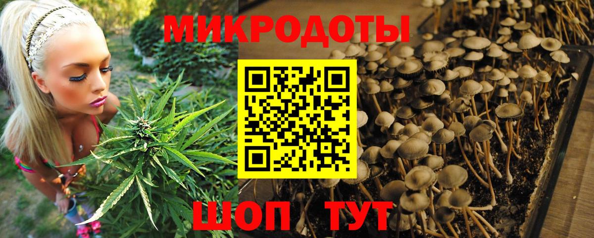 Галлюциногенные грибы Magic Shrooms Алексеевка