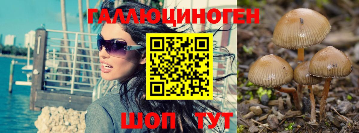 Купить наркотики цена  ГАШИШ  Кокаин  Ешки  МЕФ  АМФЕТАМИН  Мефедрон  Алексеевка  Конопля  Вход с VPN 